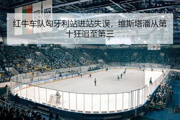 红牛车队匈牙利站进站失误，维斯塔潘从第十狂追至第三